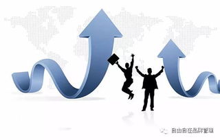 互联网销售制胜之道 业绩、颜值、产品与经验的融合