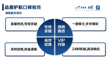 互联网全民营销 揭秘2年500亿销售奇迹背后的策略与逻辑